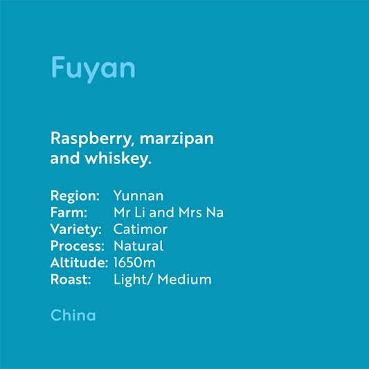 China - Fuyan