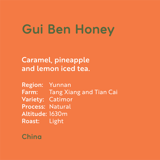 China - Gui Ben Honey