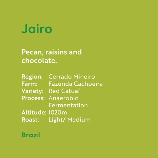Brazil- Jairo