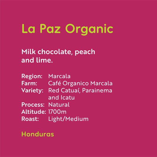 Honduras - La Paz Organic