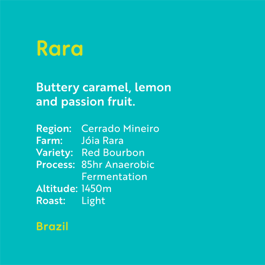 Brazil- Rara