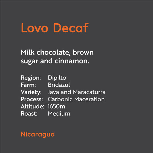 Nicaragua - Lovo Decaf