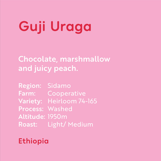 Ethiopia - Guji Uraga